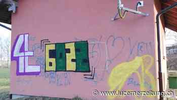 Vandalen waren in Grosswangen mit Steinen und Spraydosen aktiv - Luzerner Zeitung