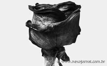 'A trindade bantu': obstáculos multiculturais - Nexo Jornal