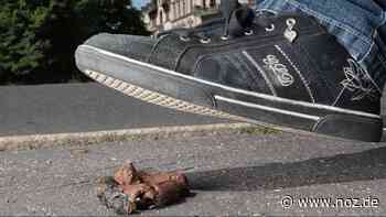 Kommentar zu Hundehaufen: Das Problem am anderen Ende der Leine - nicht nur in Papenburg - NOZ