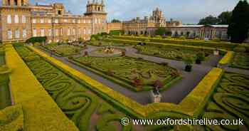 Blenheim Palace searching for new head gardener for first time in 40 years - Oxfordshire Live