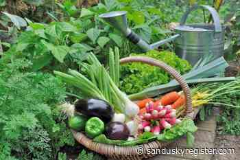 You can be a Master Gardener - Sandusky Register