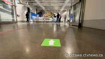 Downtown Ottawa attractions reopen following demonstrations | CTV News - CTV Edmonton