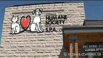 'An ugly lie:' Ottawa Humane Society says they won't kill convoy protesters' pets - CTV Edmonton