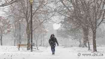 Snowfall warnings extended to Ottawa - CBC.ca