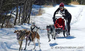 Heal Creek Dog Dash this weekend - Star Journal - Starjournalnow