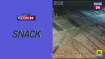 Monza, in fuga dai carabinieri si getta dall'auto in corsa - TGCOM