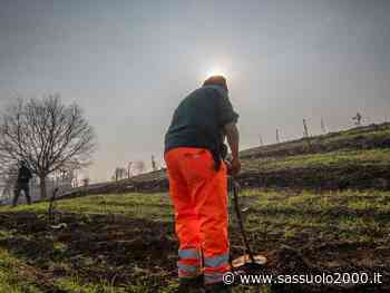 Maranello, ecco la messa a dimora di 331 alberi al Parco dello Sport e a Bell'Italia - sassuolo2000.it - SASSUOLO NOTIZIE - SASSUOLO 2000