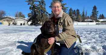 Alberta group helps provide service dogs for veterans and first responders - Global News