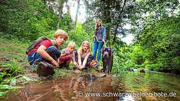 Tourismus im Teinachtal: "Doinich Ursprung" - Zwei neue Wanderwege rund um die Teinach