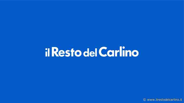 Maggioranza a Tiong Matelica 'chiama' Canil - Sport - ilrestodelcarlino.it - il Resto del Carlino