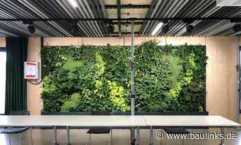 Erforscht: Effekte von Grünpflanzen in Holzgebäuden