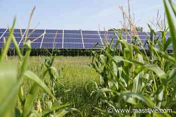 Amherst Town Council to vote on temporary solar farm moratorium - masslive.com