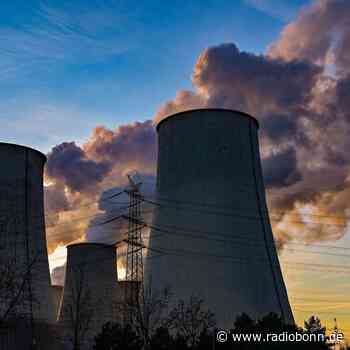 Grünen-Chefin Lang warnt vor Abrücken von Kohleausstieg - radiobonn.de