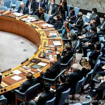 Russland-Resolution scheitert - China enthält sich - Radio Bonn / Rhein-Sieg - radiobonn.de