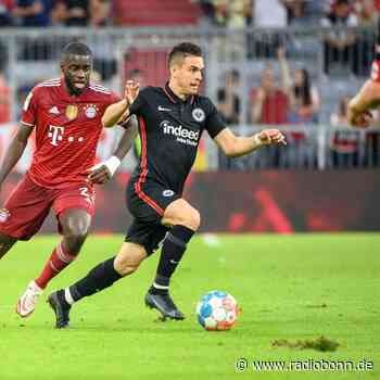 Fußball-Bundesliga: Sechs Spiele, sechs Köpfe - Radio Bonn / Rhein-Sieg - radiobonn.de