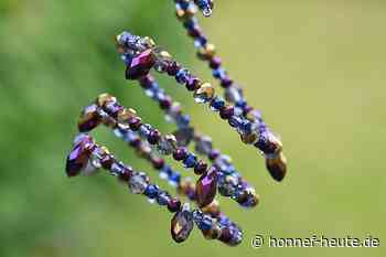 Bonn: Fundsachen-Versteigerung am 22. März 2022 - Honnef heute