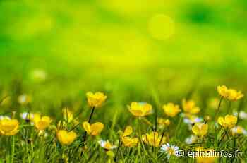 Le SICOVAD participe au salon Green Expo - Epinal infos - Epinal Infos