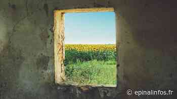 Guerre en Ukraine - Une association recueille de nombreux témoignages - Epinal infos - Epinal Infos