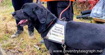 Sniffer dogs helping to fight back against metal thieves on Coventry and Warwickshire's railways - Coventry Live