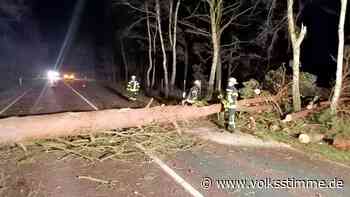 Feuerwehren der Elbe-Heide verhindern größere Sturmschäden - Volksstimme