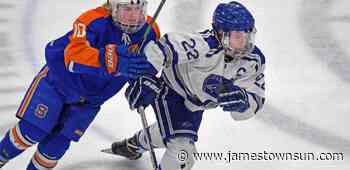 Haley, Hunter Nelson bring home WDA Senior Athlete hardware - The Jamestown Sun