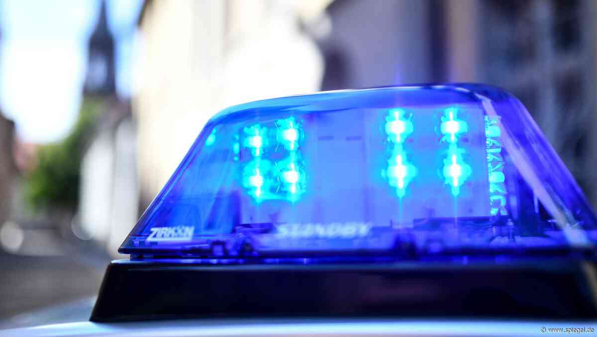 Göttingen: Polizisten erschießen zwei Hunde nach Beißattacke auf Besitzer