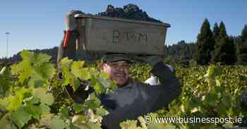 Cathal McBride on wine: California is known for full-bodied reds, but it also offers superb pinot noirs and chardonnays - Business Post