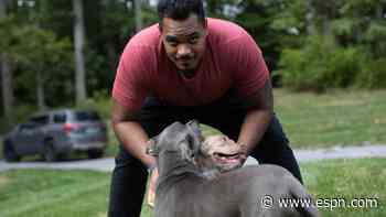 To the rescue: Helping dogs from shelter is heartfelt mission of Baltimore Ravens' Ronnie Stanley