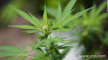 What inflation? Cannabis actually costs less these days