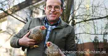 Private Hühnerhalter in Aachen: Mit Henne Berta fing alles an
