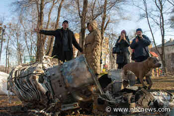 'Flood of propaganda': The signs of Russian disinformation spreading online