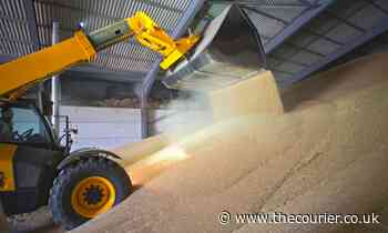 Nancy Nicolson: Ukraine crisis highlights need for food security - The Courier