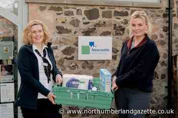 New community food larder planned in Northumberland town - Northumberland Gazette