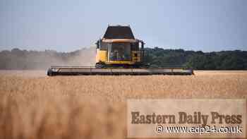 Russia's invasion of Ukraine hits food prices and farm costs - Eastern Daily Press