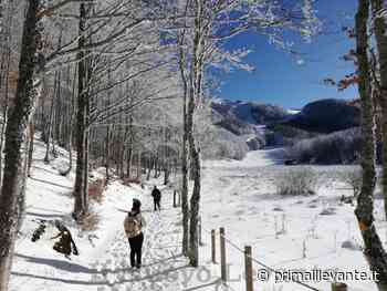Prato della Cipolla, il Carnevale aiuta i bambini di Kiev - Prima il Levante