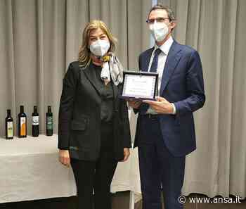 Olio: Cciaa Prato, a Marchesi Pancrazi premio Oleum nostrum - Pianeta Camere (di commercio) - Agenzia ANSA