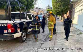 Disparan contra el fotógrafo Lázaro Sandoval en Cuernavaca - El Sol de Cuernavaca