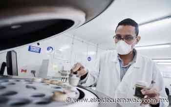 Bajo presupuesto frena la innovación científica - El Sol de Cuernavaca