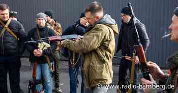 Bundesregierung genehmigt den Niederlanden Waffenexport