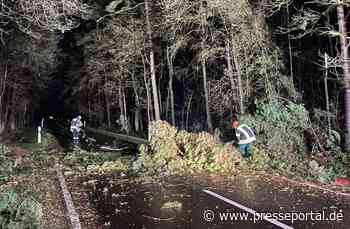 FW Celle: Stürmisches Wetter beschäftigt weiter die Celler Feuerwehr! - Presseportal.de