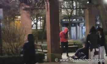 Vancouver police seek witnesses after 'violent swarming' in downtown park - Squamish Chief