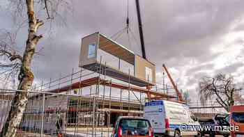 Neubauteile für Kita schweben in Wittenberg ein - Mitteldeutsche Zeitung