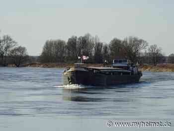 Trotz gut gefüllter Elbe ! - Lutherstadt Wittenberg - myheimat.de - myheimat.de