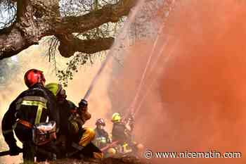 Cinq hectares de forêt partis en fumée à Valdeblore, ce samedi 26 février
