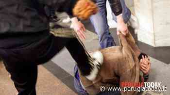 Foligno: rissa davanti al bar, scatta il "Daspo Willy" per tre giovani violenti - PerugiaToday
