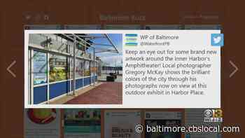 Baltimore Buzz: Inner Harbor Outdoor Art - CBS Baltimore