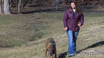 Future Farmers Friday: Cobden FFA member takes dog hunting - KFVS