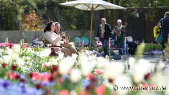 Stadt Starnberg organisierte weiteren Bürgerdialog zum Thema Landesgartenschau - Merkur Online