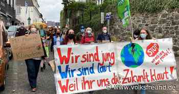 Demo in Daun: Jugendliche protestieren für mehr Klimaschutz - Trierischer Volksfreund