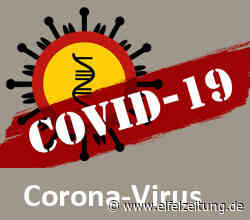 4.595 aktive Corona-Fälle in MYK und Koblenz - EMZ Eifel-Mosel-Zeitung - Eifel Zeitung